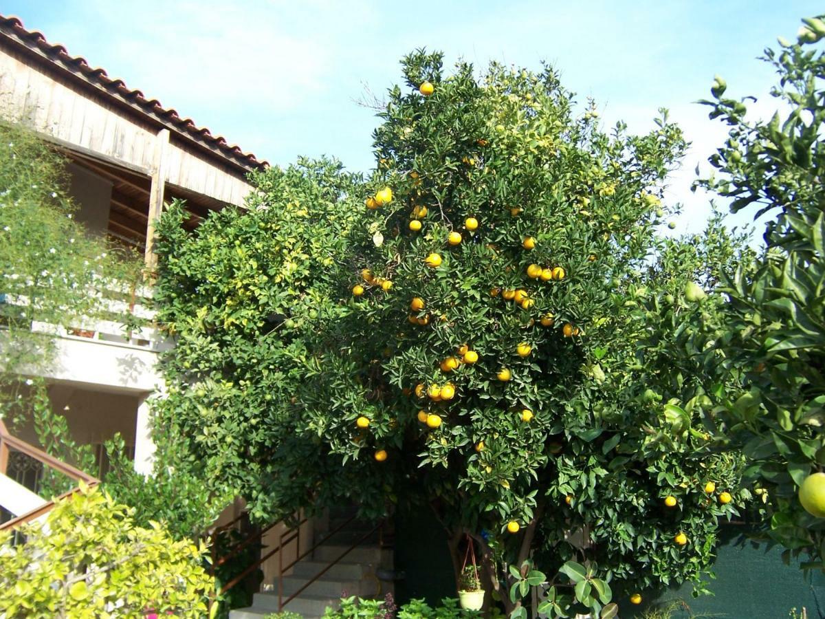 Maria'S Haus In Artemida Apartment Exterior photo